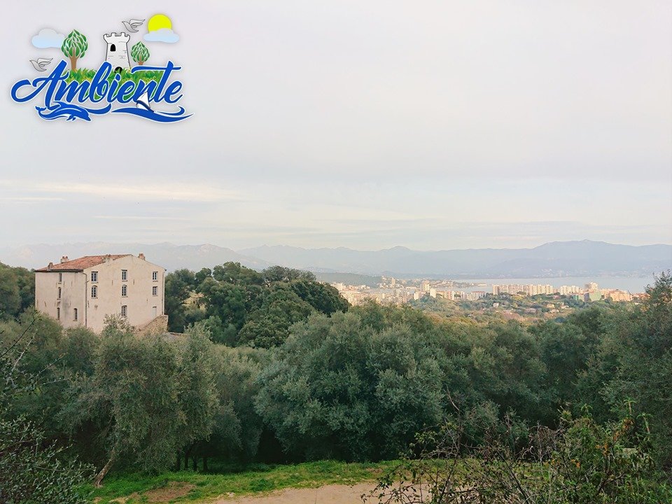 Ambiente_anim's tweet photo. Visites de cette semaine

26 août : Plage du Ricanto   17h00
27 août : Plage de Capitello 16h30
28 août : Grand site de la Parata  17h00
29 août : Parc des Milelli       17h00

Durée : 1h30-2h
Infos et inscriptions : 06 46 58 50 93 https://t.co/B93lvo1qI1