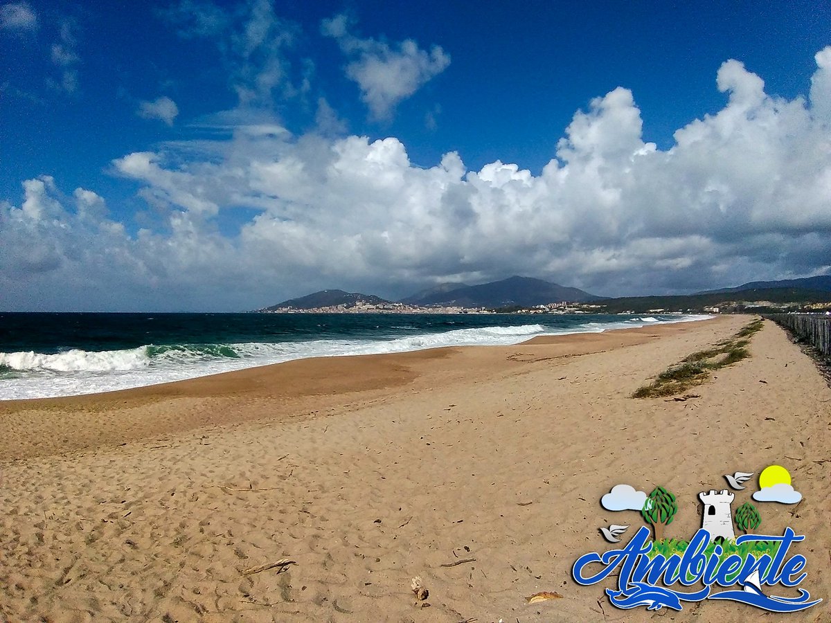 Ambiente_anim's tweet photo. Visites de cette semaine

26 août : Plage du Ricanto   17h00
27 août : Plage de Capitello 16h30
28 août : Grand site de la Parata  17h00
29 août : Parc des Milelli       17h00

Durée : 1h30-2h
Infos et inscriptions : 06 46 58 50 93 https://t.co/B93lvo1qI1