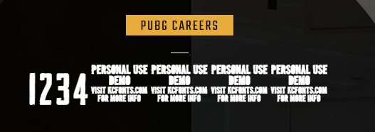xPaw tweet media