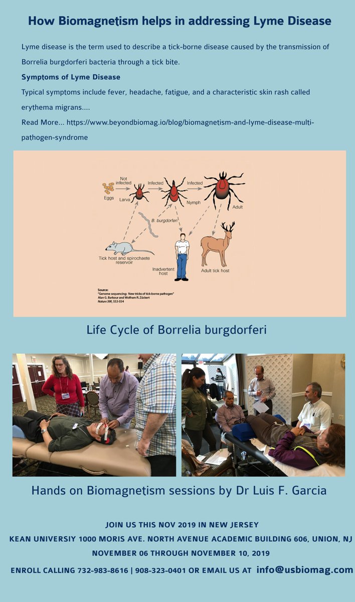 BeyondBiomag's tweet photo. #Lymedisease is the term used to describe a tick-borne disease caused by the transmission of #Borreliaburgdorferibacteria through a #tickbite. Let us see how #Biomagnetism could be addressed with Lyme disease  https://t.co/mdPV8QJMR1
#BiomagnetismTherapy #BiomagnetismPractitioner https://t.co/HfhNEw0rbh