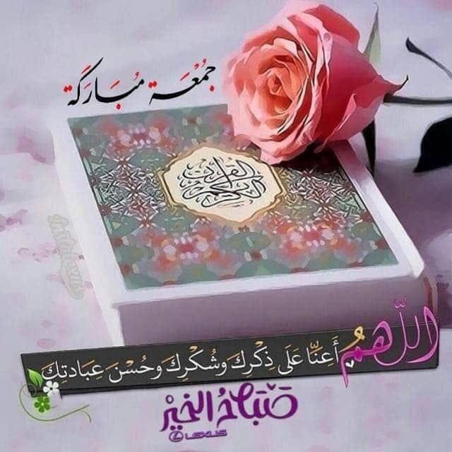 ali Mezar tweet media