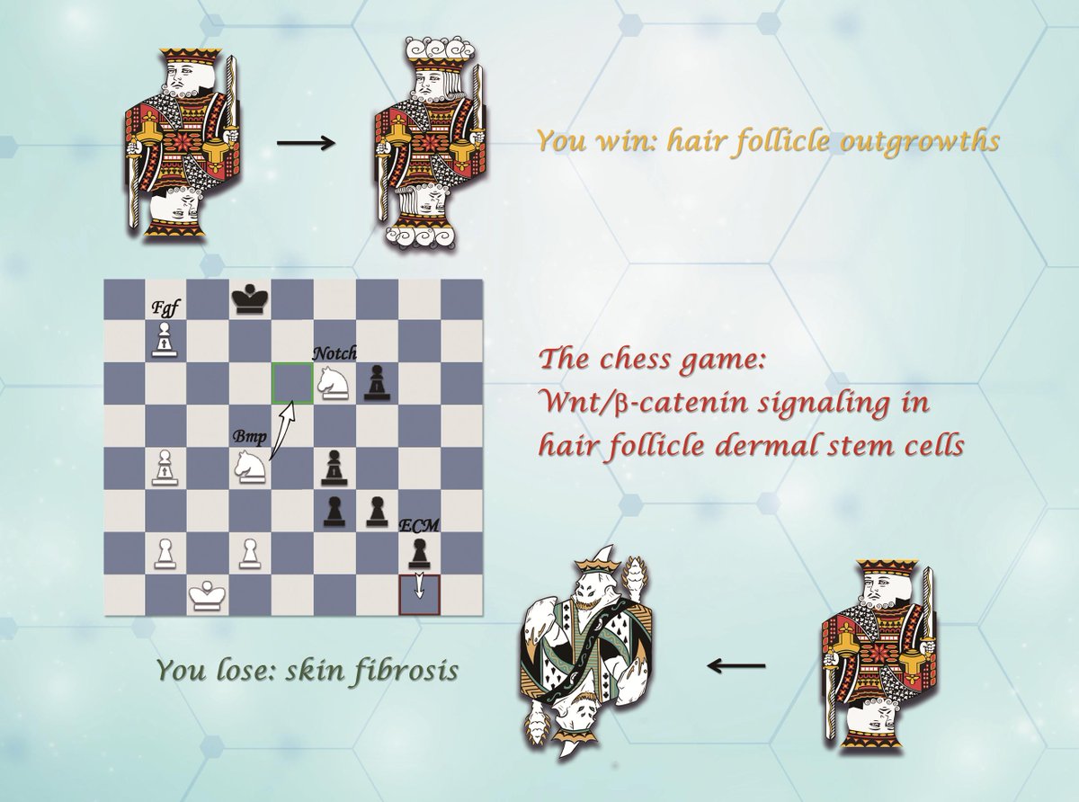 OUP_JMCB's tweet photo. ♟️Let's Play Chess:
😀You Win: Hair Follicle Outgrowths
🙁You Lose: Skin Fibrosis
https://t.co/aIiYgKXo6H
@OxfordJournals https://t.co/nH3L4yMNP2