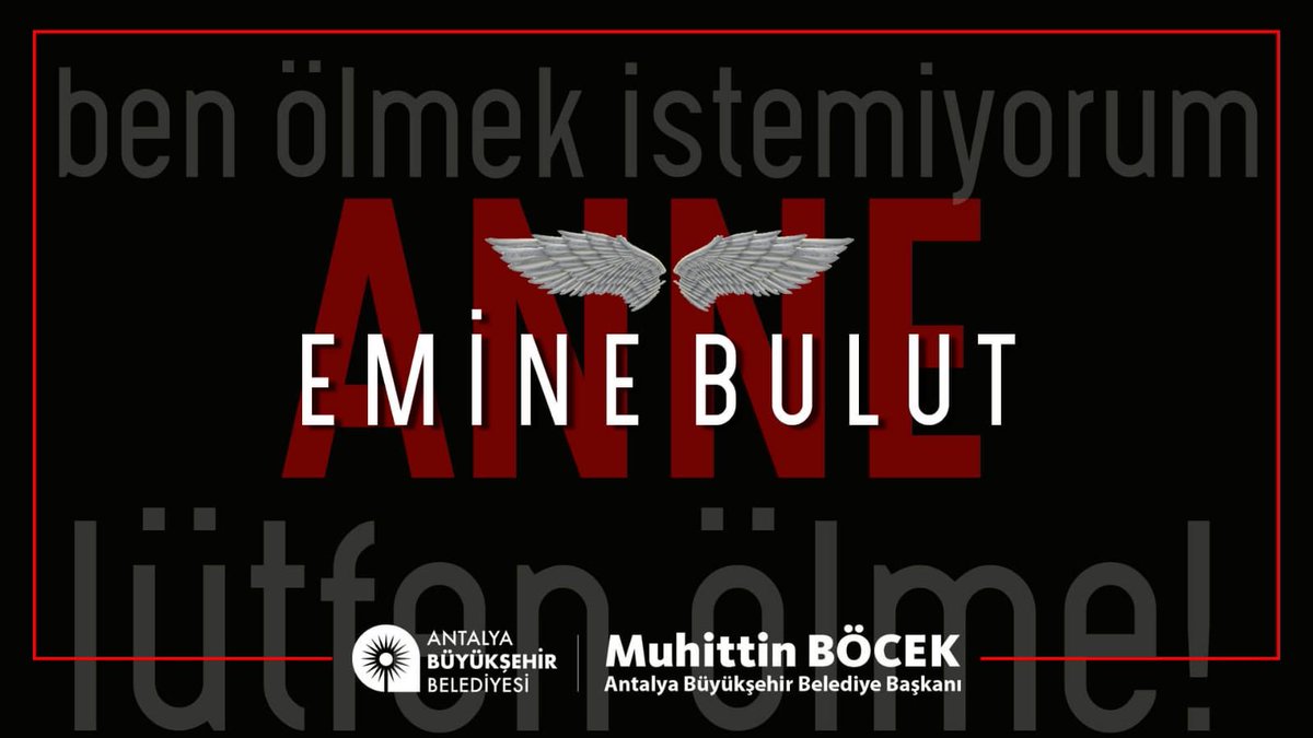 Muhittin Böcek