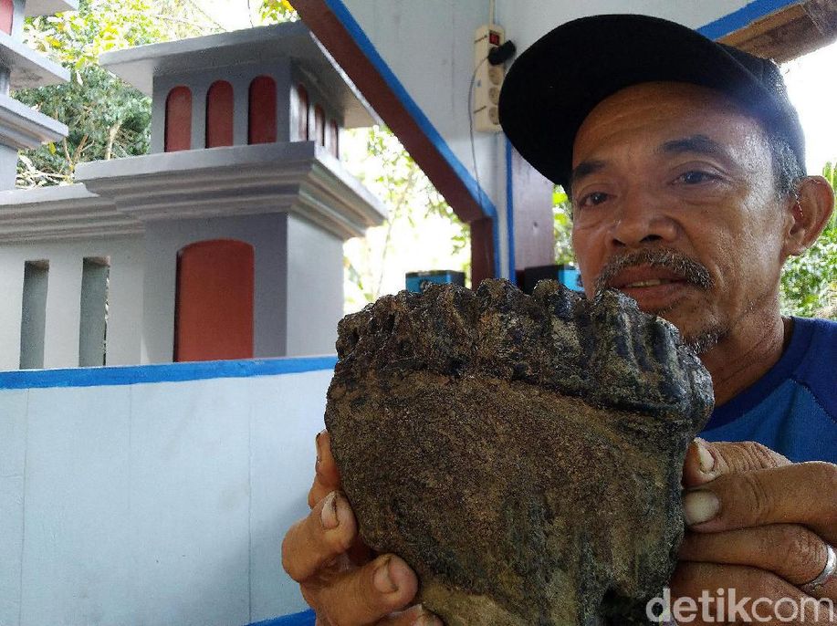 Unyil Mimpi Ketemu Jokowi Sebelum Temukan Rahang Gajah Purba detik.id/60WeGQ