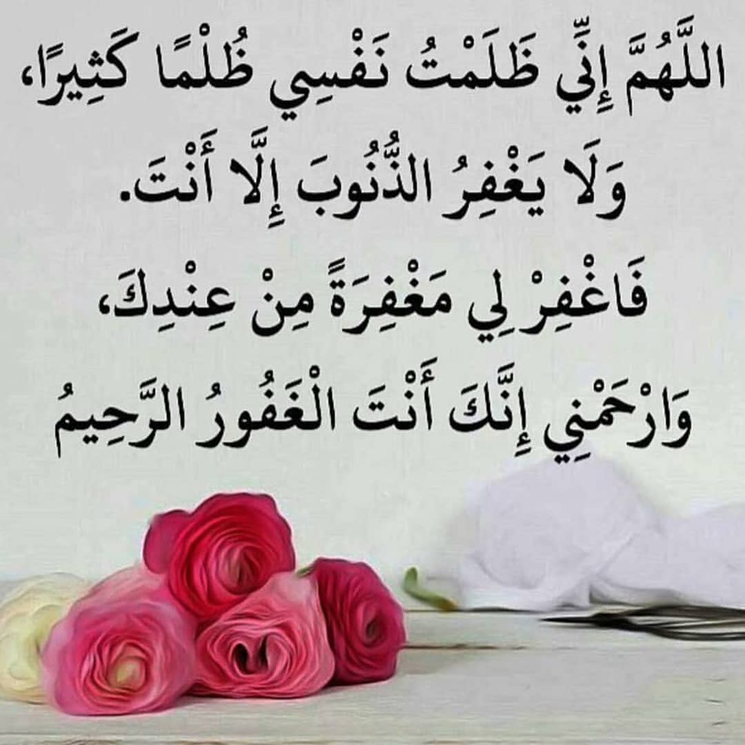 حلا شمر (@hey1243s) on Twitter photo 