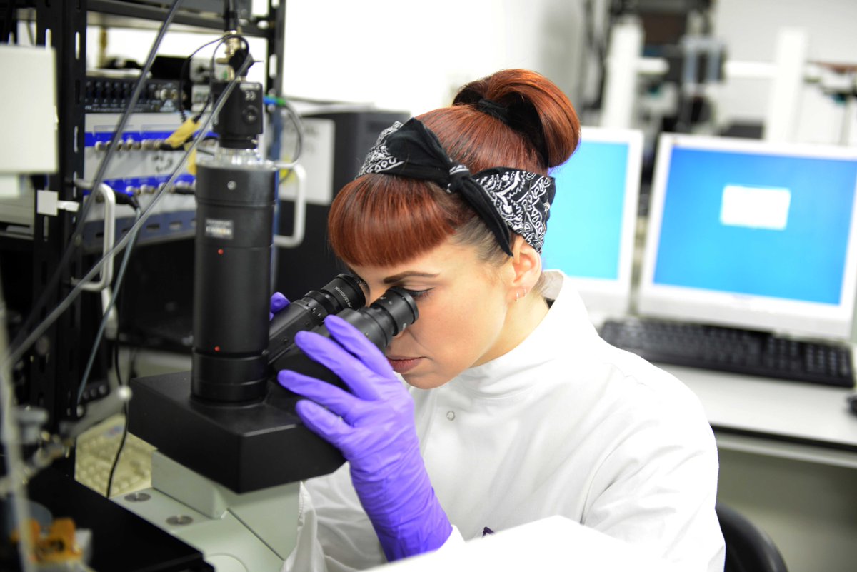 Kidney_Research's tweet photo. What does the future of renal research look like? Could you help us to shape it? Weโre welcoming applications to our fellowship awards where weโre offering up to 5 years of funding. Apply now. https://t.co/BAel6Yt1im #renalresearch #researchfellowship https://t.co/SRbQ4JevuW