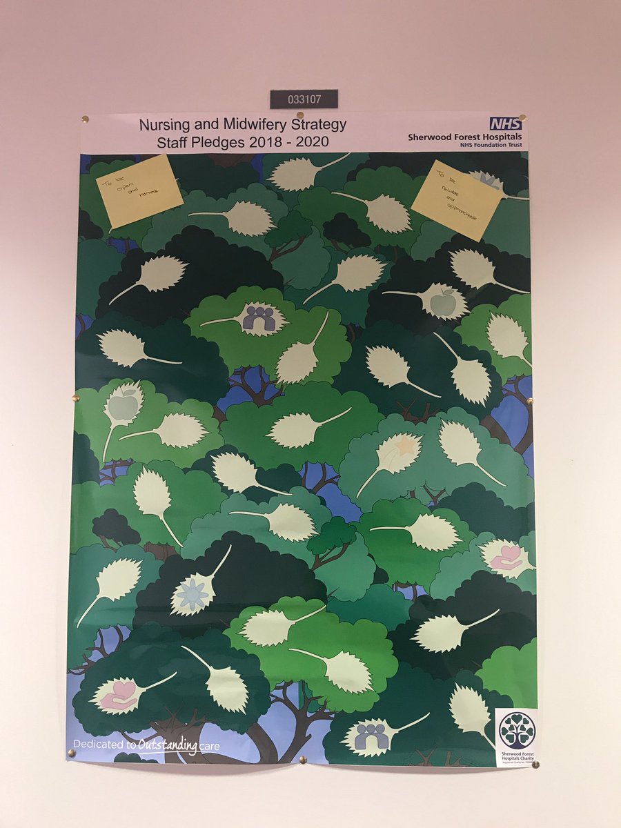 Short stay unit’s staff pledge board for nursing and midwifery strategy 2018-2020 <a href="/leannebea/">leanne Minett</a> <a href="/RobinBinks/">Robin Binks</a> <a href="/SuzanneB_NHS/">Suzanne Banks CBE</a> @siobhan_mck18 <a href="/19_jonesy_89/">Keeley Ragsdale</a> <a href="/EmmaLouiseBarr1/">Emma Louise Barr</a>