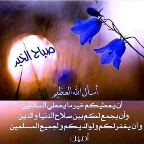 HAMMERKSA's tweet photo. https://t.co/P64Aq8bmOQ