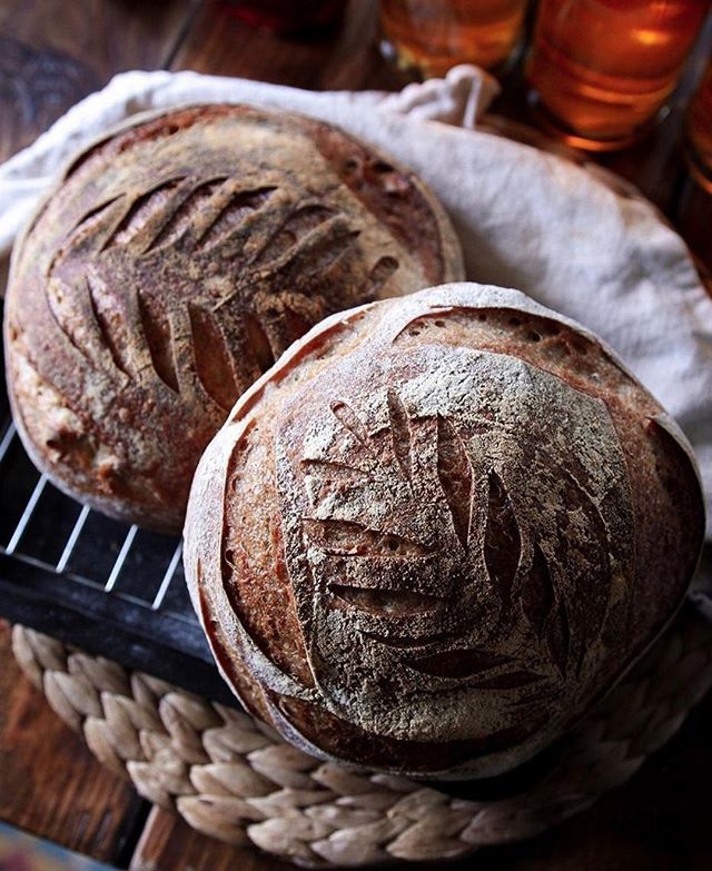 LNsupplements's tweet photo. This weeks #fermentedfriday goes to @awoodennest for these gorgeous sourdough loaves 🍞 Tag us in your creations and share the fermentation love 💜 #livingnutrition #fermentedfoods  #fermentation #homemade #bread #ferment #fermenting #fermented #fermen… https://t.co/d8HByLxaBN https://t.co/6JLfynBHGU