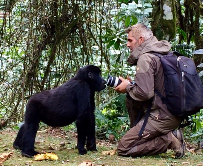 View image on Twitter