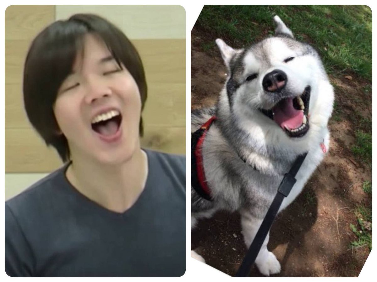 むじょる たまたま見つけた犬の画像と昔のワイが完全に一致してると話題に むじょる たまたま見つけた犬の画像と昔のワイが完全に一致してると話題に