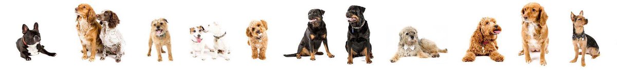 CJC Photo tweet media