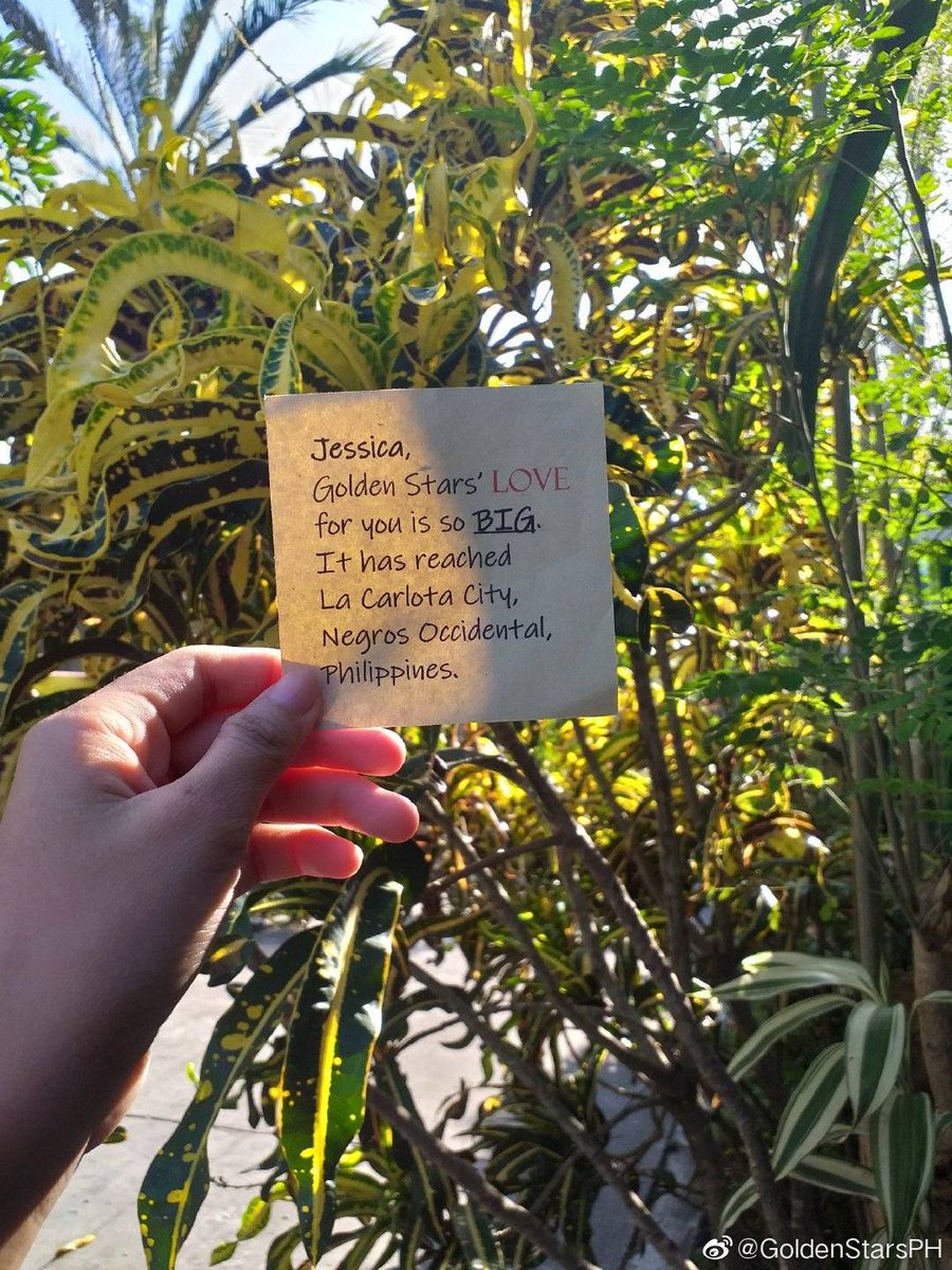 gsphsupport's tweet photo. More love from Negros Occidental, Philippines! โค๐๐ โจ
by: cycylaus
#BIGLoveForJessica
#LoveNotesForJessica
#ProtectJessicaJung
#teamjessicajung https://t.co/p8y49yXy77