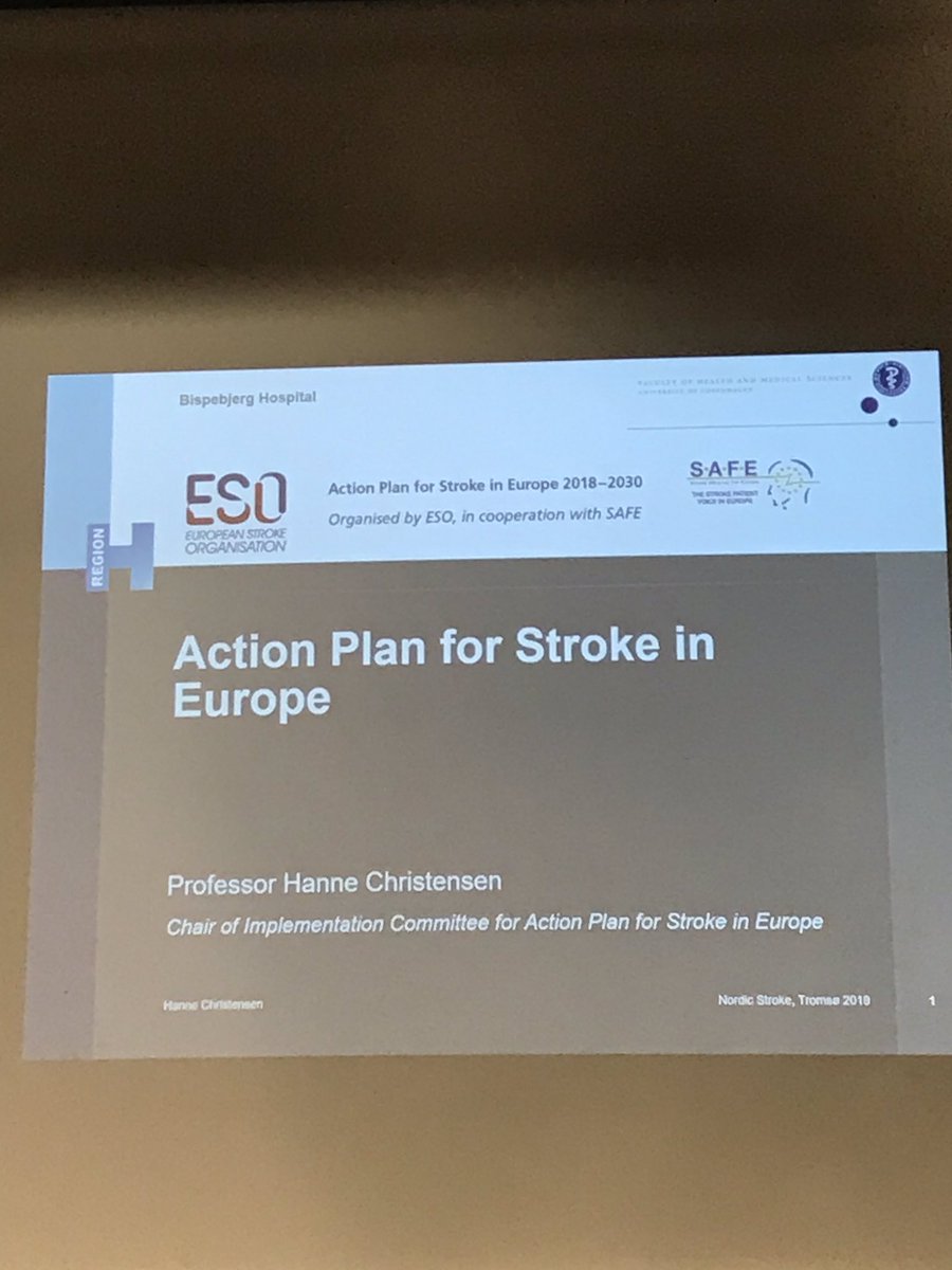 NordicStroke 2019 prof Christensen, Denmark. Important topic