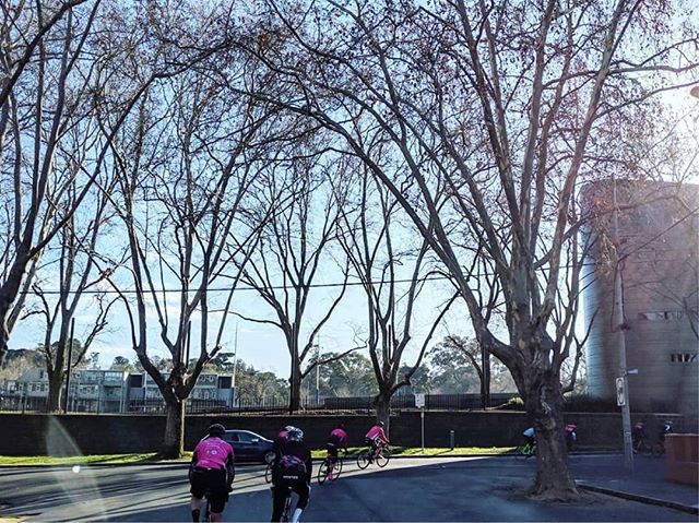 TotalRush's tweet image. Let’s do it again tomorrow! 
Shop ride leaving 7am, you know the drill 🚲 ☕️ ☀️ 📸 @flash_222
.
.
#totalrush #iamspecialized #rushrides  #wymtm #outsideisfree #nevernotriding #melbournemornings #melbournskyline #igmelbourne #igmelbourne #lightbro #fore… ift.tt/2zkJFhi