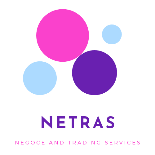 NETRAS7's tweet photo. Officiel.. Nouveau logo Netras https://t.co/ZLTXtTBsX0