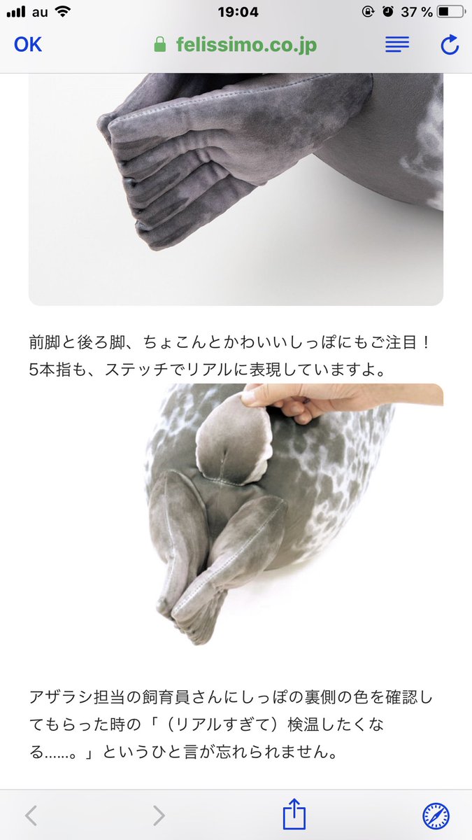 思わず検温したくなるアザラシのクッションが発売開始 Togetter 思わず検温したくなるアザラシのクッションが発売開始 Togetter