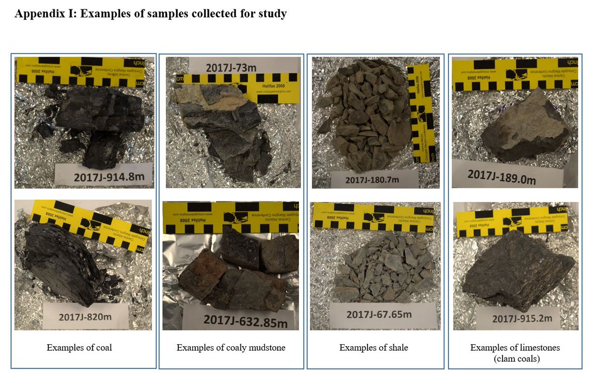 NetZeroAtlantic's tweet photo. #ProjectComplete Check out Dr. Todd Ventura's final report for "Attenuation of #Petroleum Generation Characteristics by the #Sulfurization of Organic Matter in #Westphaflan #Carboniferous Lacustrine Source Rocks" https://t.co/RSoHZEUCn7 @smuhalifax @SMUScience @SMUGeology https://t.co/K3yCcUOoUi