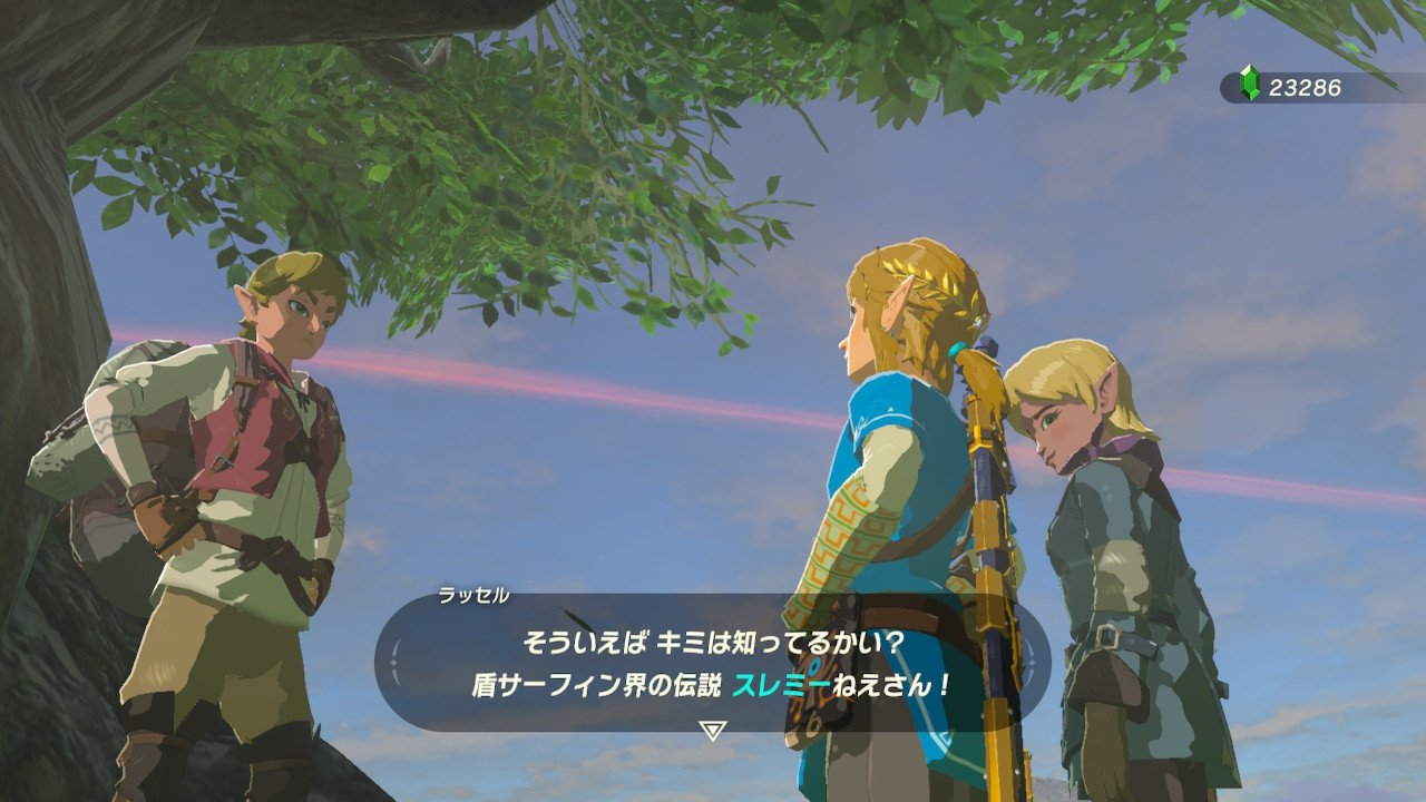 もっさりもやし 業界の人です ゼルダの伝説 Npc旅スレミー編 T Co Ojkmkjcgeu Twitter