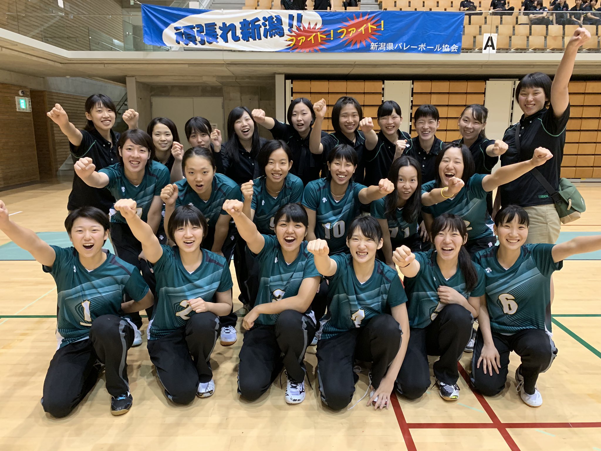 新潟医療福祉大学ジャージ 女子 L 新潟医療福祉大学ジャージ 女子 L - メルカリ