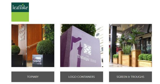 Leaflike tweet media