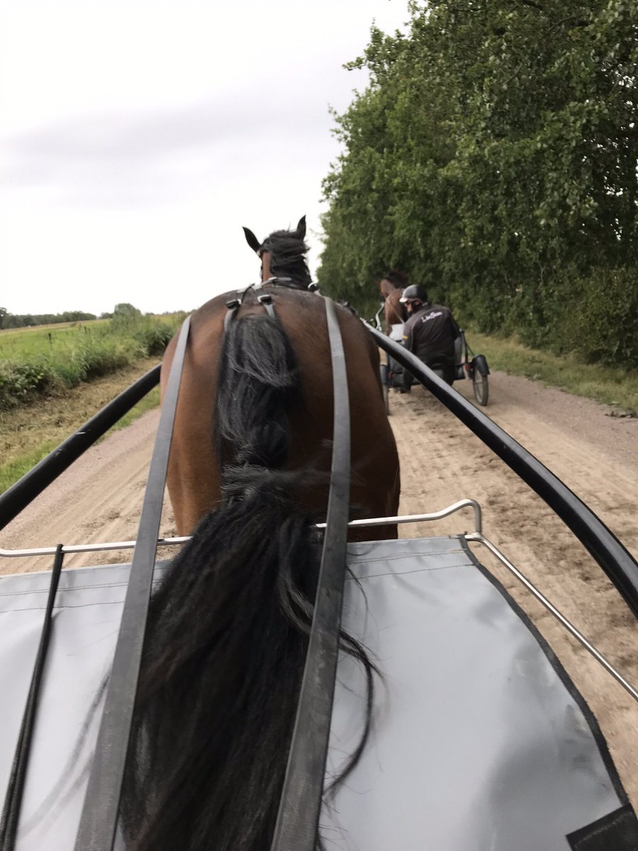 Tog semester från jobbet för att köra lite för Fia😍,
Vilken dag🥰