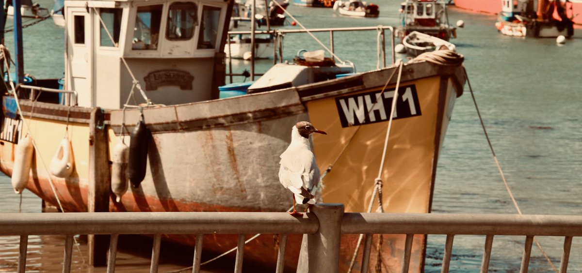 WoollyDream's tweet photo. Woolly dream down in historical Portsmouth meeting a client and couldn't resist taking some pictures!! What a great city!!! 🚢⚓🚢#portsmouth #portsmouthharbour #photography #canon7d #meetings #recce #historical #port #throughthelens https://t.co/qYwVzwbjDY