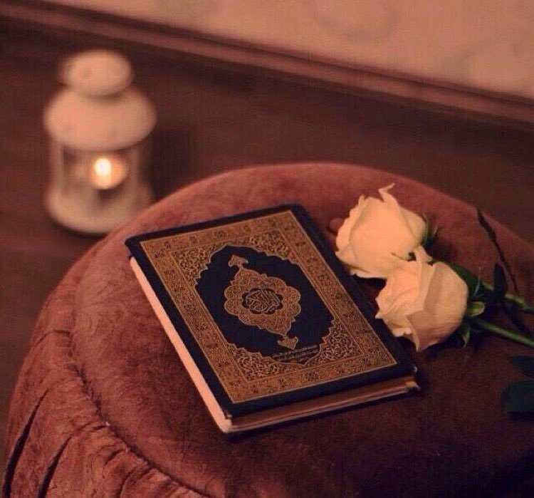 ‏﮼حروف ﮼الأمل🕊 tweet media