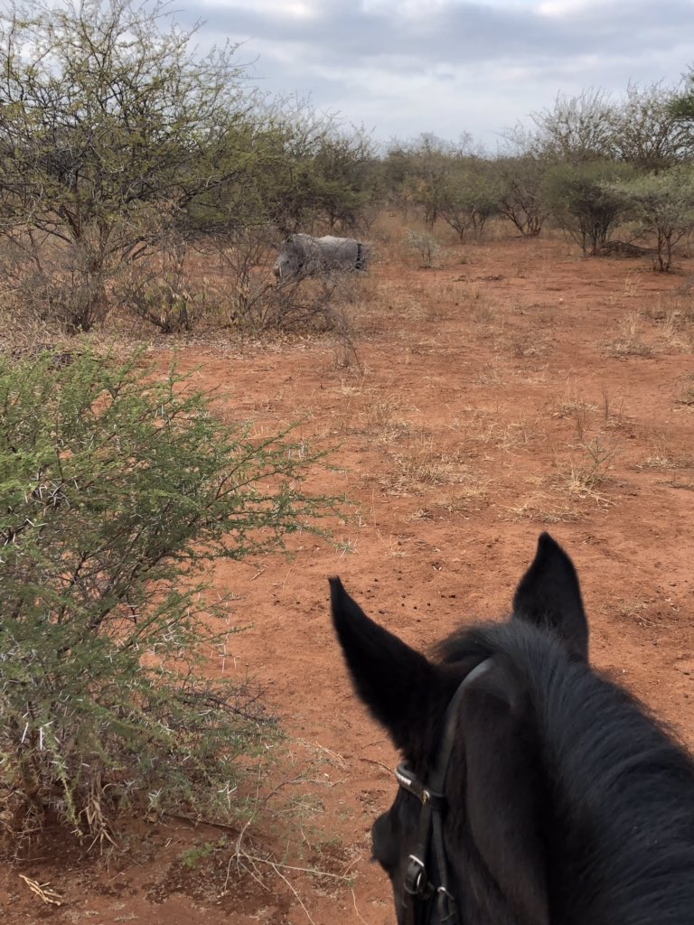 It’s been a good week! #big5 #horseback