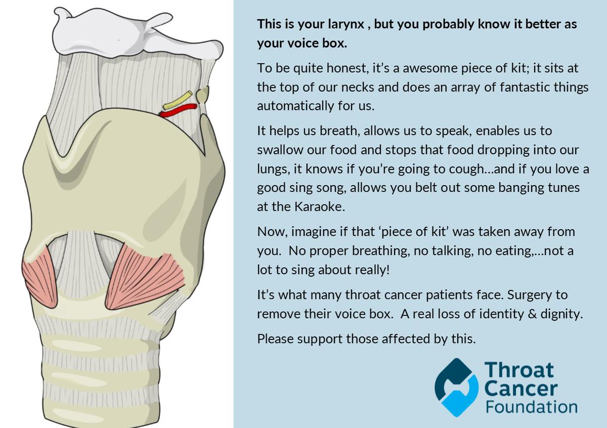 throatcancerfoundation.org/fundraising/do…