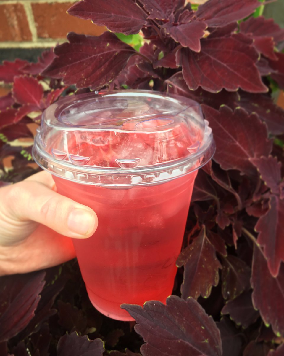 cstonecoffee's tweet photo. Straw-less lids are here! Get your sip on! Get your iced drinks with one of these lids and completely forgo the need for a straw. Let’s take small steps and make a difference! #strawless #gostrawless #stopsucking #savetheearth #reducereuserecyle https://t.co/mDa69CE48w