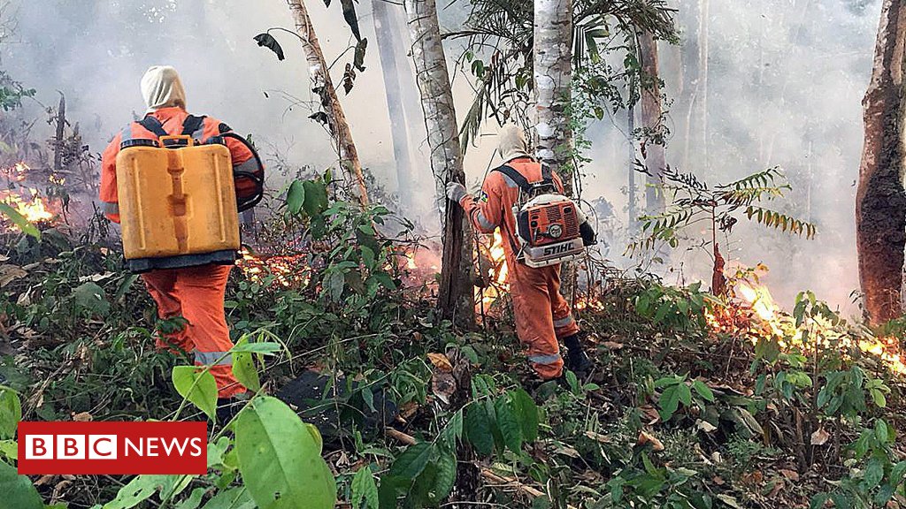 BBCWorld's tweet photo. German Chancellor Angela Merkel says the Amazon wildfires are an "acute emergency" that belongs on the G7 agenda

https://t.co/pWttTNma0b https://t.co/WKbIa8Zk0n