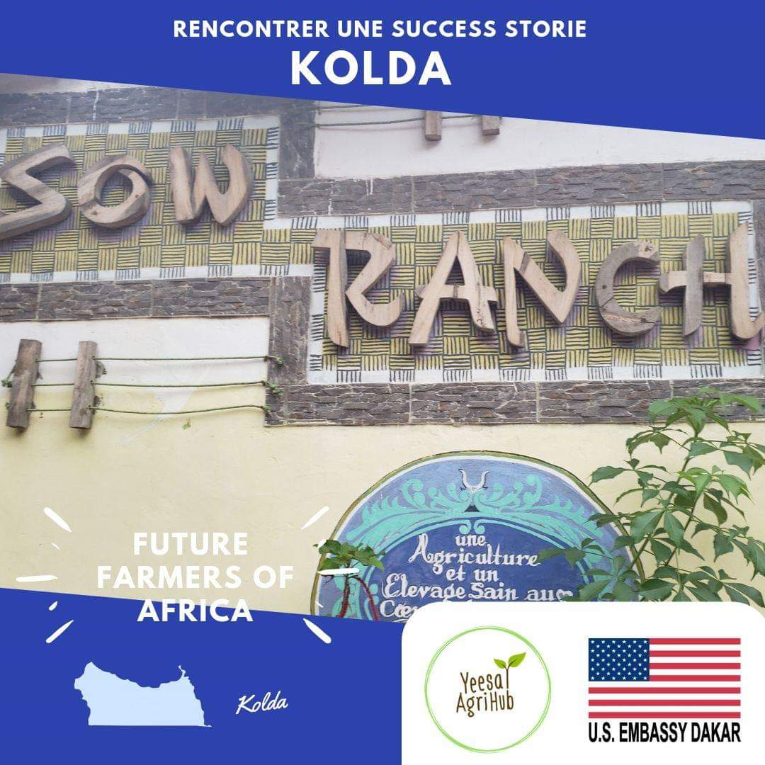 yeesalagrihub's tweet photo. 🇸🇳🇺🇸 #CarnetDeVoyage #FutureFarmersOfAfrica Qui ne rêverait pas de rencontrer la célèbre Aminata Ly de Sow ranch. Citadine devenue cofondatrice d’un modèle de réussite dans le SUD et pourvoyeuse d’emploi pour les jeunes  #SunuMbay #Kebetu #AgripreneurEnAction #SENAG #SDGs https://t.co/cFPns1lpiJ