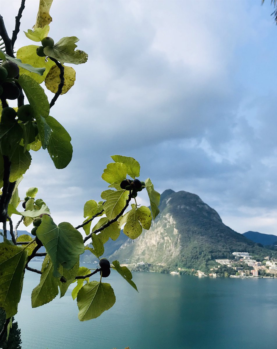 C_Perdomo's tweet photo. Almost ready to painting Ticino again...#Ticino #Lugano #sansalvatore https://t.co/bKHxmGCgcZ