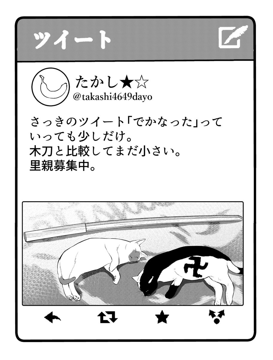 たかしの最新ツイート

#不良がネコに助けられてく話 