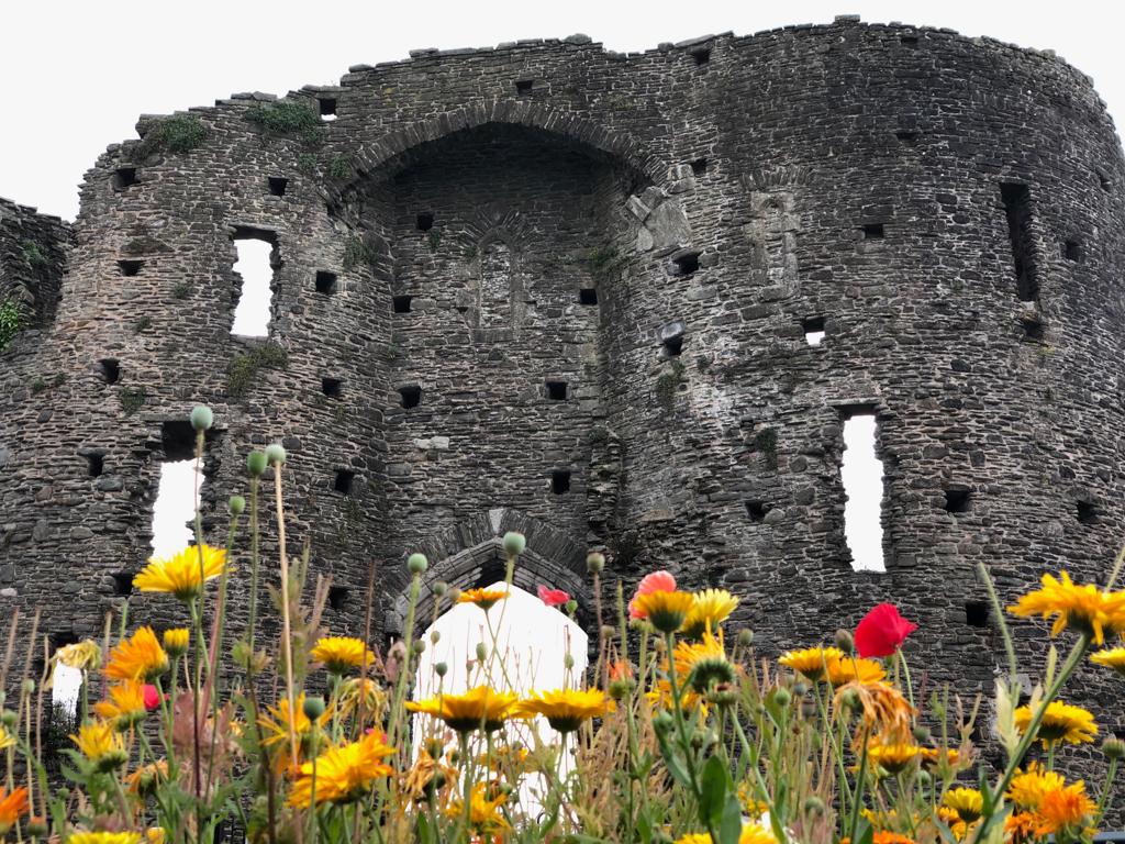 NeathTCouncil's tweet photo. Our wild flower gardens at Neath Castle are still looking beautiful. Pop in, bring your lunch and have a break in these wonderful surroundings 🌺🌸🌼🌹☀️🏰 #NeathTogether #Neath #NeathCastle https://t.co/bQX1XictZK