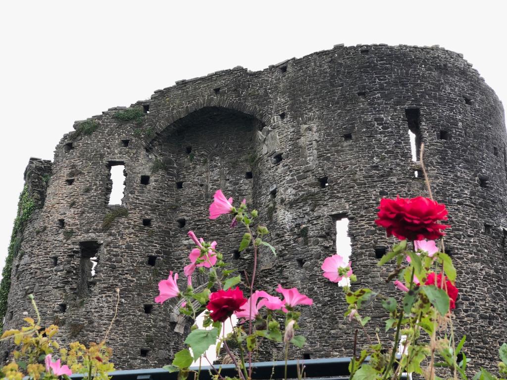 NeathTCouncil's tweet photo. Our wild flower gardens at Neath Castle are still looking beautiful. Pop in, bring your lunch and have a break in these wonderful surroundings 🌺🌸🌼🌹☀️🏰 #NeathTogether #Neath #NeathCastle https://t.co/bQX1XictZK