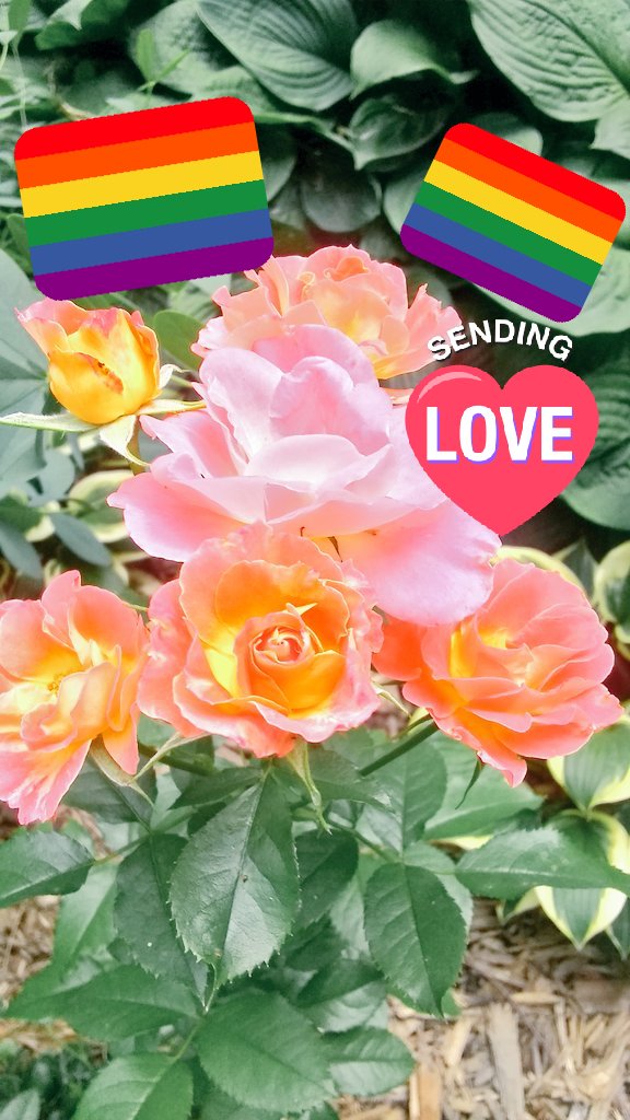 Love doesn't see color or physicallity . Love for some one comes from the heart.