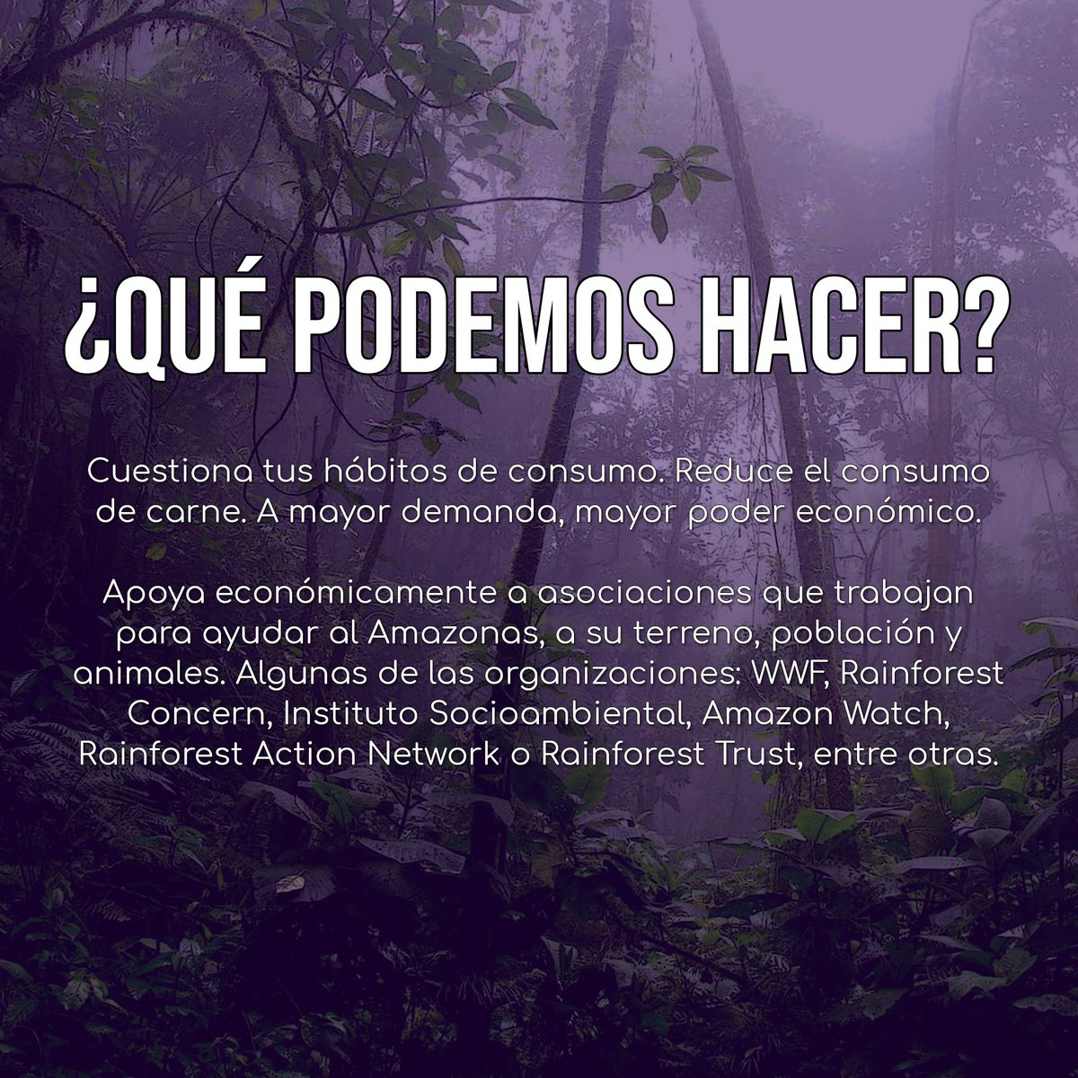 MensakasApp's tweet photo. ⚠️ Los pulmones del mundo están ardiendo. 🔥 Es hora de actuar, y el primer paso es informarse sobre el contexto del problema. 👇 #ActionForAmazonia https://t.co/Exe1gacOiK