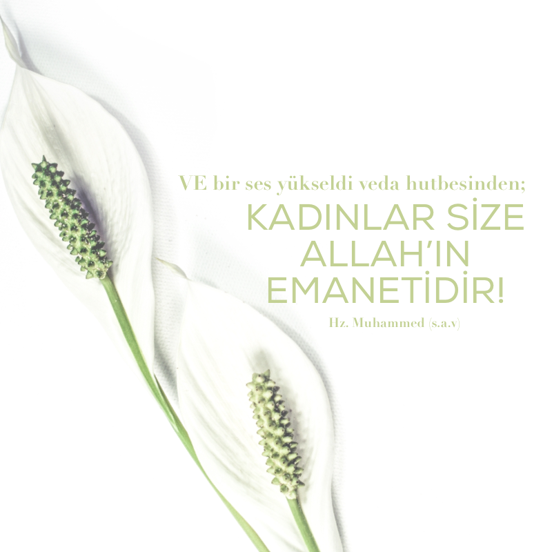 Hatice Özdemir Tülün (@portakalagaci) on Twitter photo 