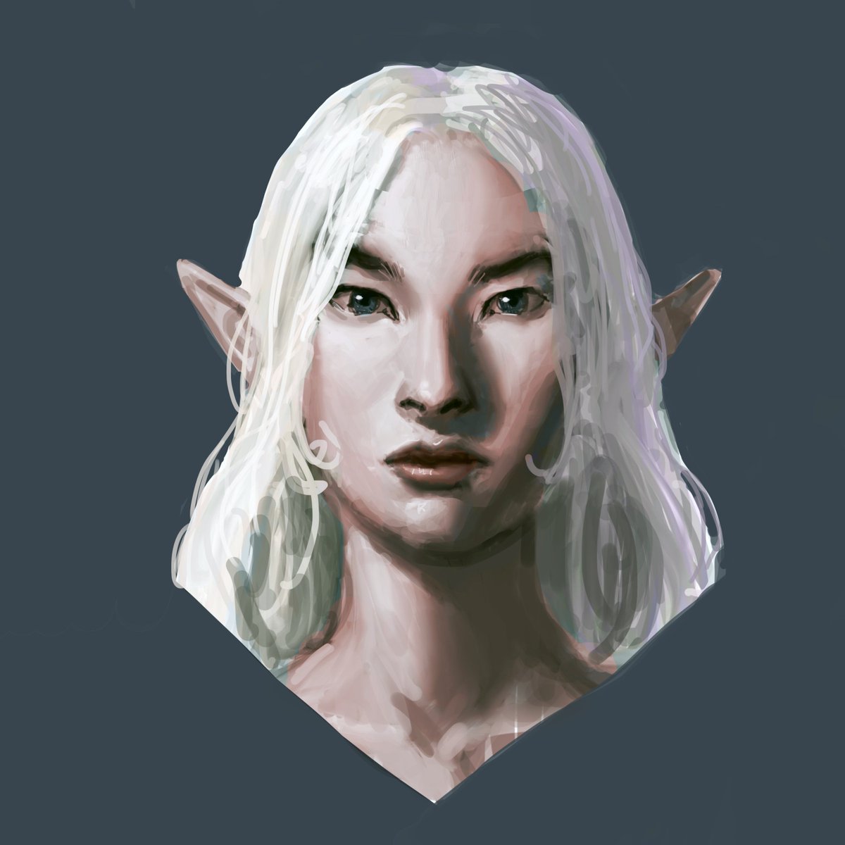 Srionart's tweet photo. messing around in procreate.. 

#dnd #procreate #art #elf #fantasy #portrait #rpg #girl https://t.co/kS45uVFfOg