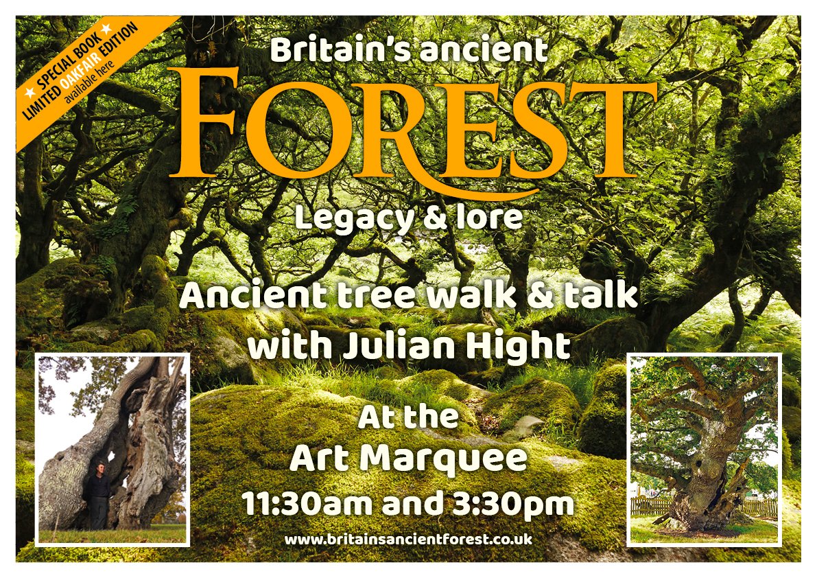 Really looking forward to The Oakfair this weekend. I'll be hosting 2 ancient tree walks/talks a day, and you can pick up an advance copy of my new book: Britain's Ancient Forest and CDs of the accompanying music. So join me! #oak #tree #forest stockgaylard.com/the-oak-fair.a…