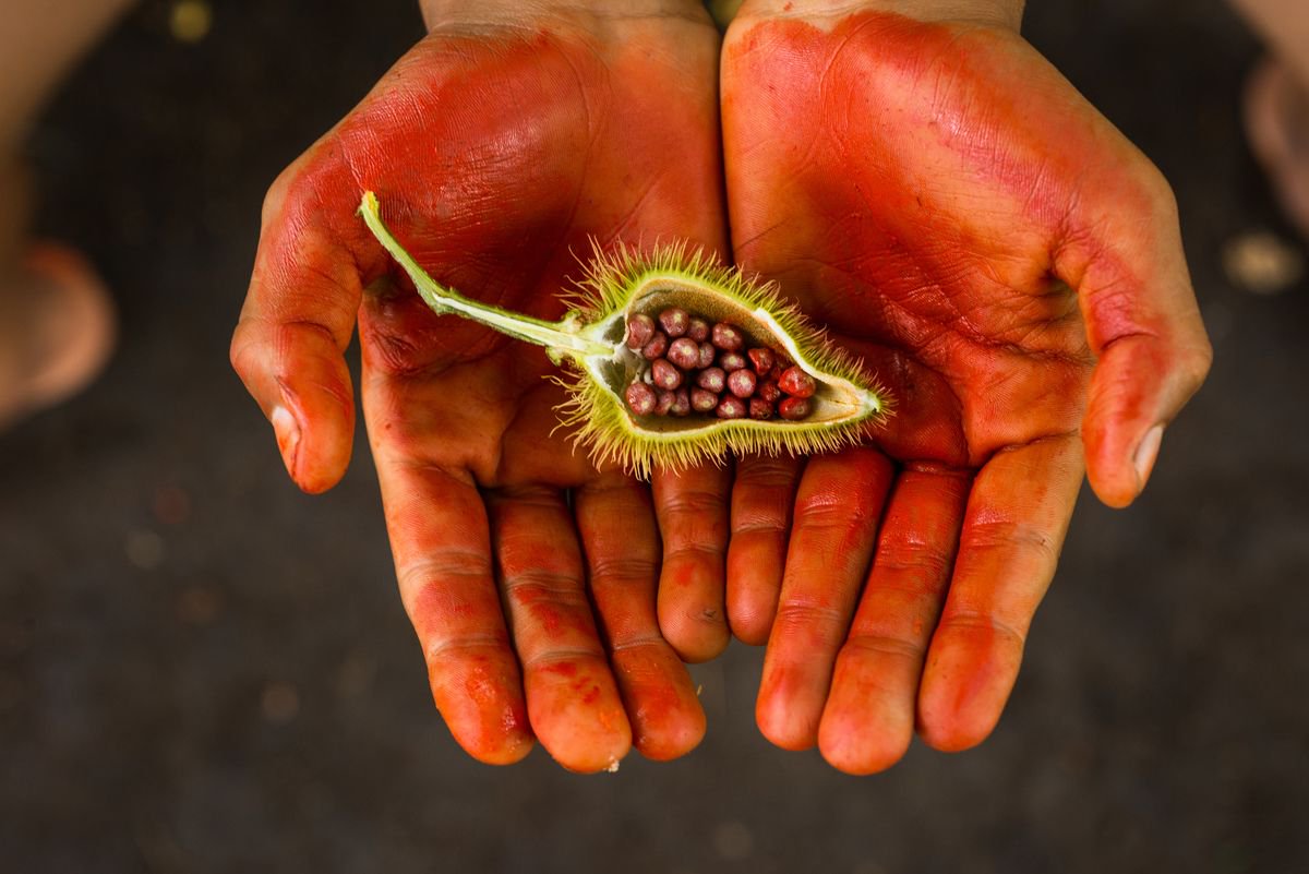 RoundTableGl's tweet photo. It’s not even close to an exaggeration to say that the rainforest is vital to the planet’s ecosystem. It stabilises EVERYTHING! Something needs to be done urgently to stop this #ActionforAmazonia #prayingwontmakeitstop https://t.co/P7oiG1YNt8 https://t.co/Nvd5d4MRxb