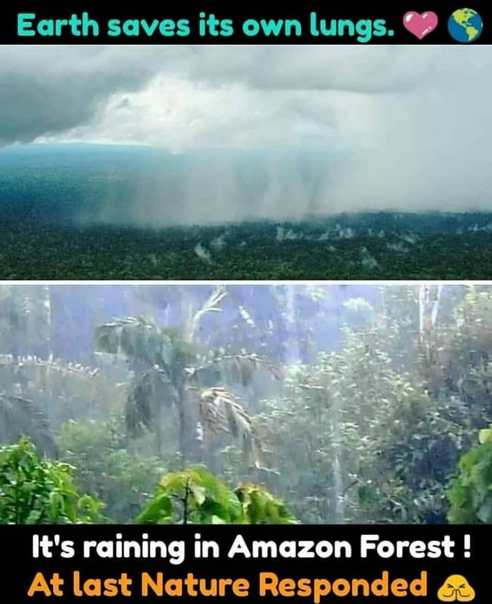 RohitSandeepP's tweet photo. Thank god. It’s raining in Amazon forests now. #AmazonFires #AmazonFire #AmazonRain https://t.co/k9e8EMlsW8