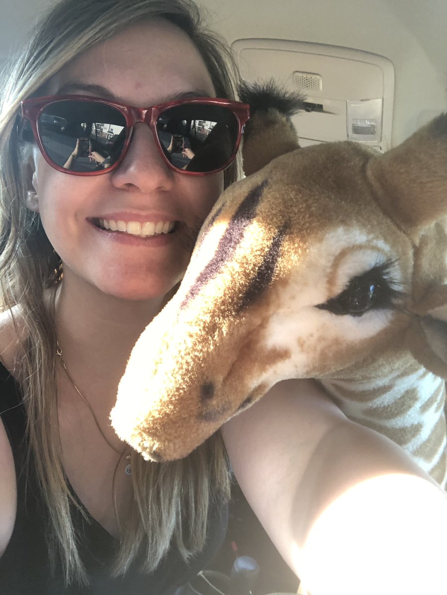 Tango_Tweets's tweet photo. I went in a car!!! https://t.co/OtWoUgep97