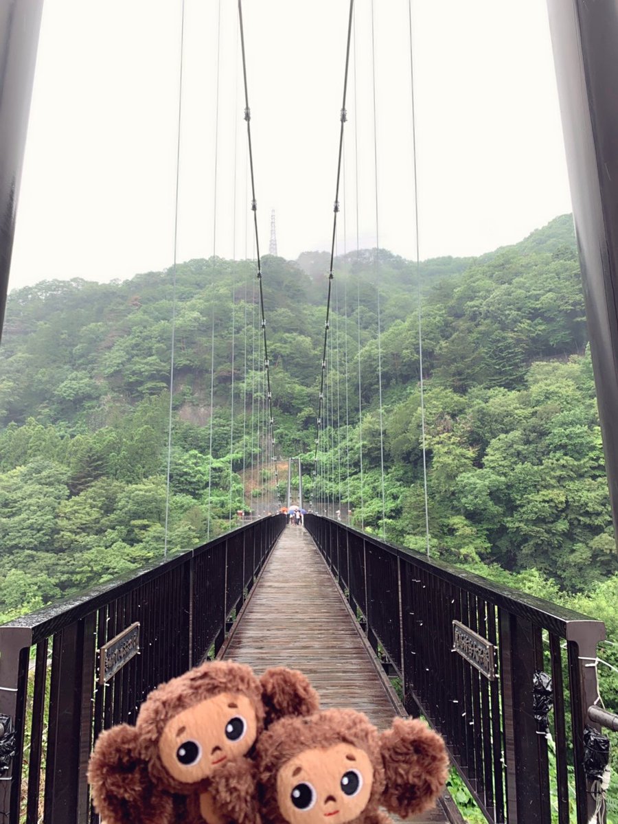 Noro 江戸村では流鏑馬体験と剣術体験をしたよ 先着順だけど無料で予約出来て かなりガッツリ教えてくれるから江戸村行く人はオススメ 二枚目は晴れてる時のニャンまげ 三枚目は雨の時のニャンまげ