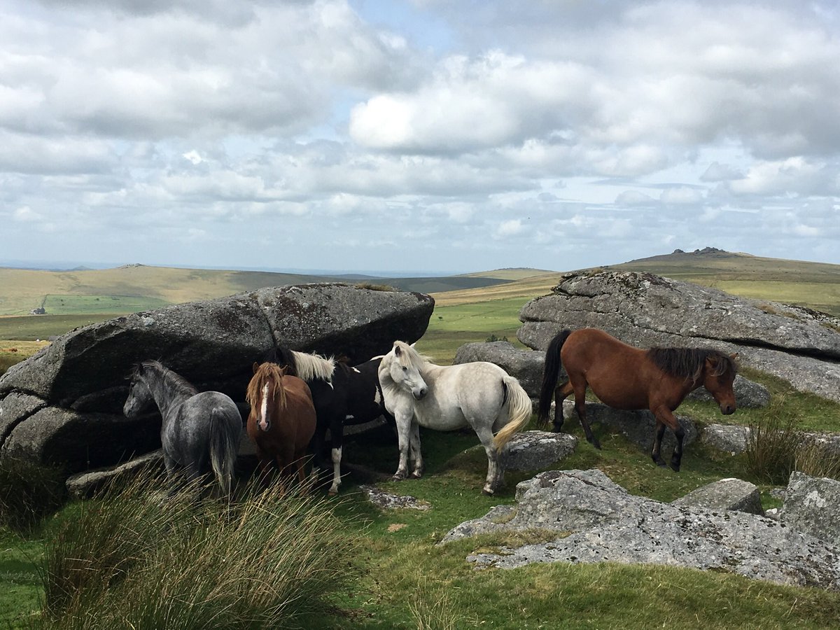 lindylol's tweet photo. Beautiful #Dartmoor ❤️ https://t.co/Vks2s69Kuy