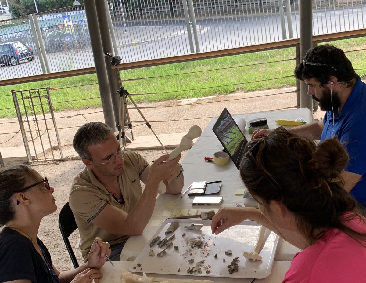 Master_Antropo's tweet photo. Studying cremated anthropological remains in Rome #bioarchaeology #archaeology #anthropology #archaeologyofdeath #roma #viaostiense #sepolcretoostiense #romancremation #necropolis #bioarchaeology #archaeologyofdeath #mortuary #masterinternacional #masterdegree #masterinternship https://t.co/UFYa3MUEQi