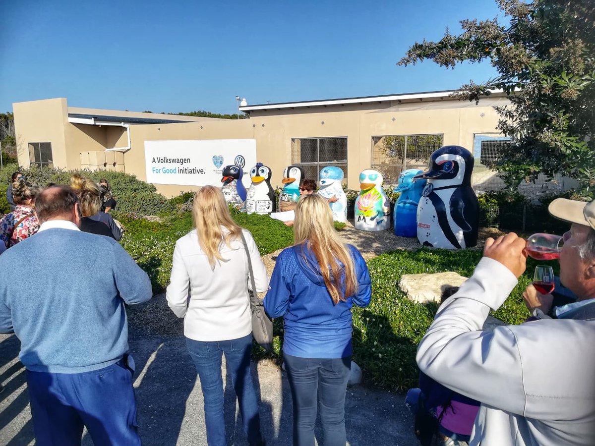 visitstanford's tweet photo. How gorgeous? Located all over the @WhaleCoastSA as part of an awareness campaign &amp; all painted by local artists. We're super excited as we'll be hosting one too! #visitstanford #stanfordtourism #conservation #penguins #capewhalecoast 

cc @GansbaaiTourism @OverstrandMuni https://t.co/dZU05v1ZGV