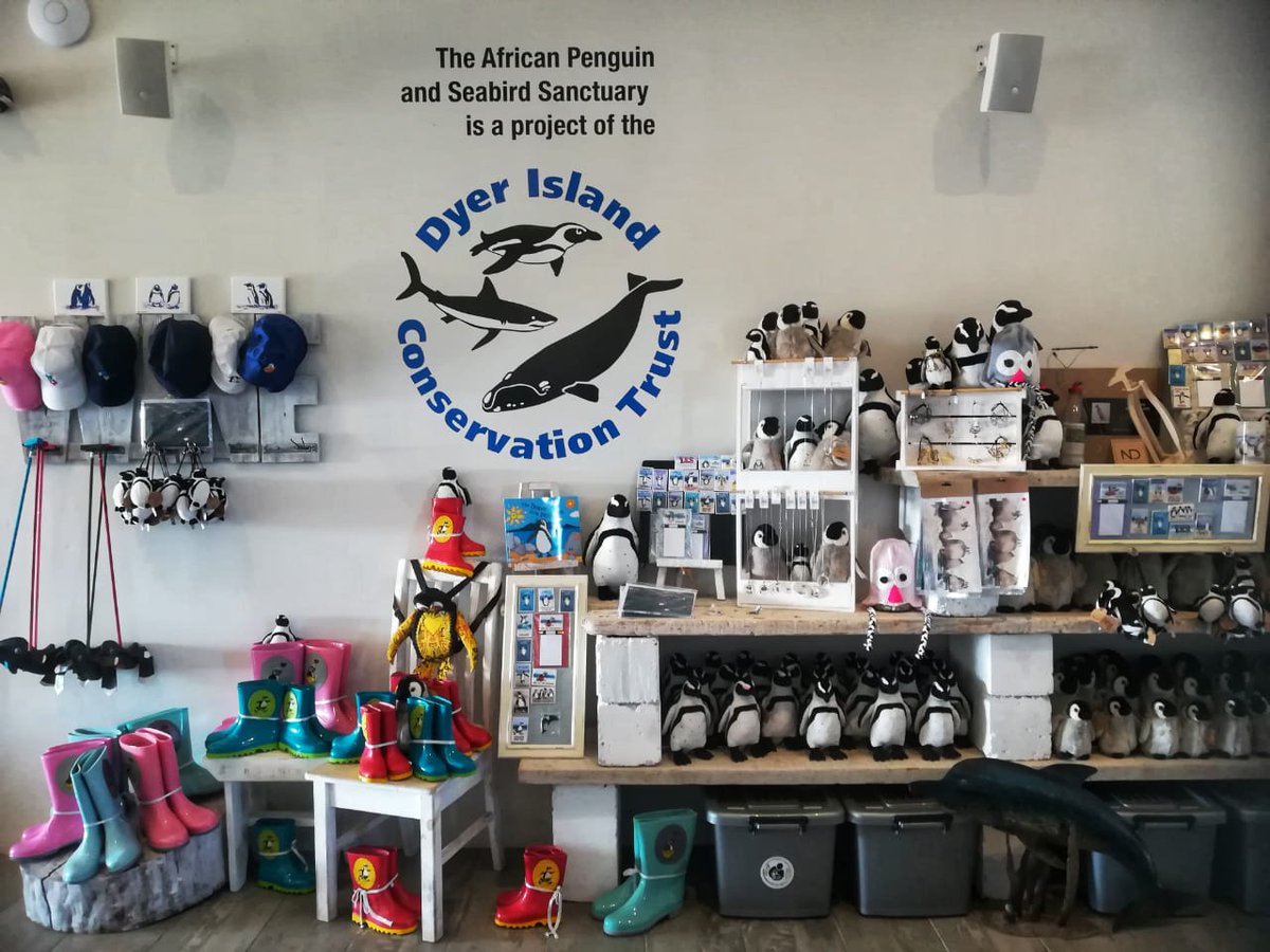 visitstanford's tweet photo. How gorgeous? Located all over the @WhaleCoastSA as part of an awareness campaign &amp; all painted by local artists. We're super excited as we'll be hosting one too! #visitstanford #stanfordtourism #conservation #penguins #capewhalecoast 

cc @GansbaaiTourism @OverstrandMuni https://t.co/dZU05v1ZGV